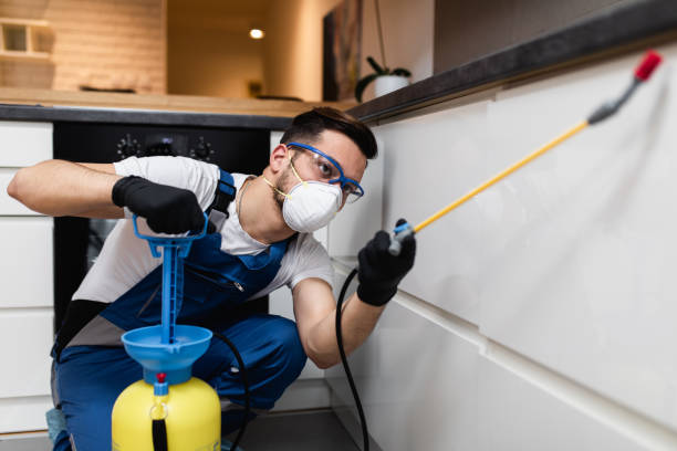 Best Affordable Pest Control Services  in Labarque Creek, MO