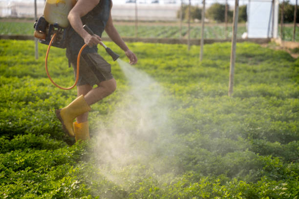 Best Pest Control Treatment  in Labarque Creek, MO