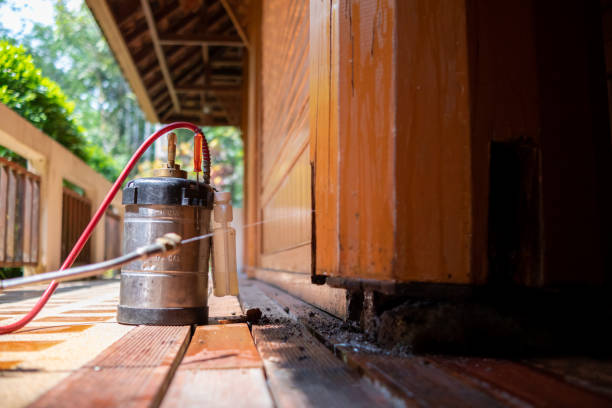 Best Best Pest Control Companies  in Labarque Creek, MO