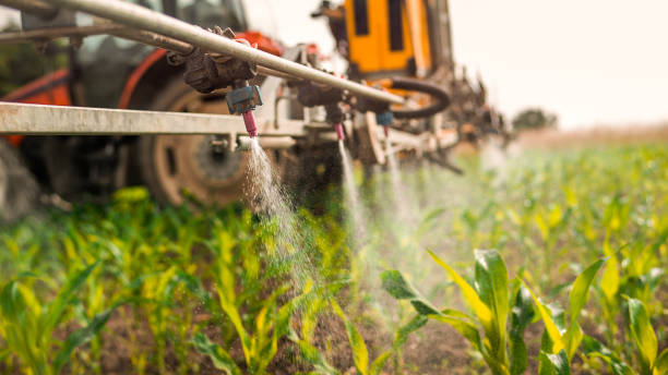 Best Best Pest Control Companies  in Labarque Creek, MO
