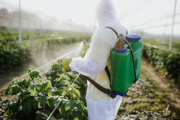 Best Local Pest Control Services  in Labarque Creek, MO
